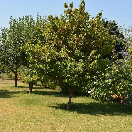 Osorio's Place Country house