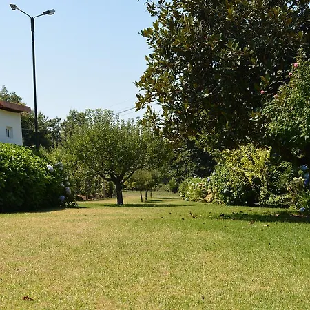 Osorio's Place